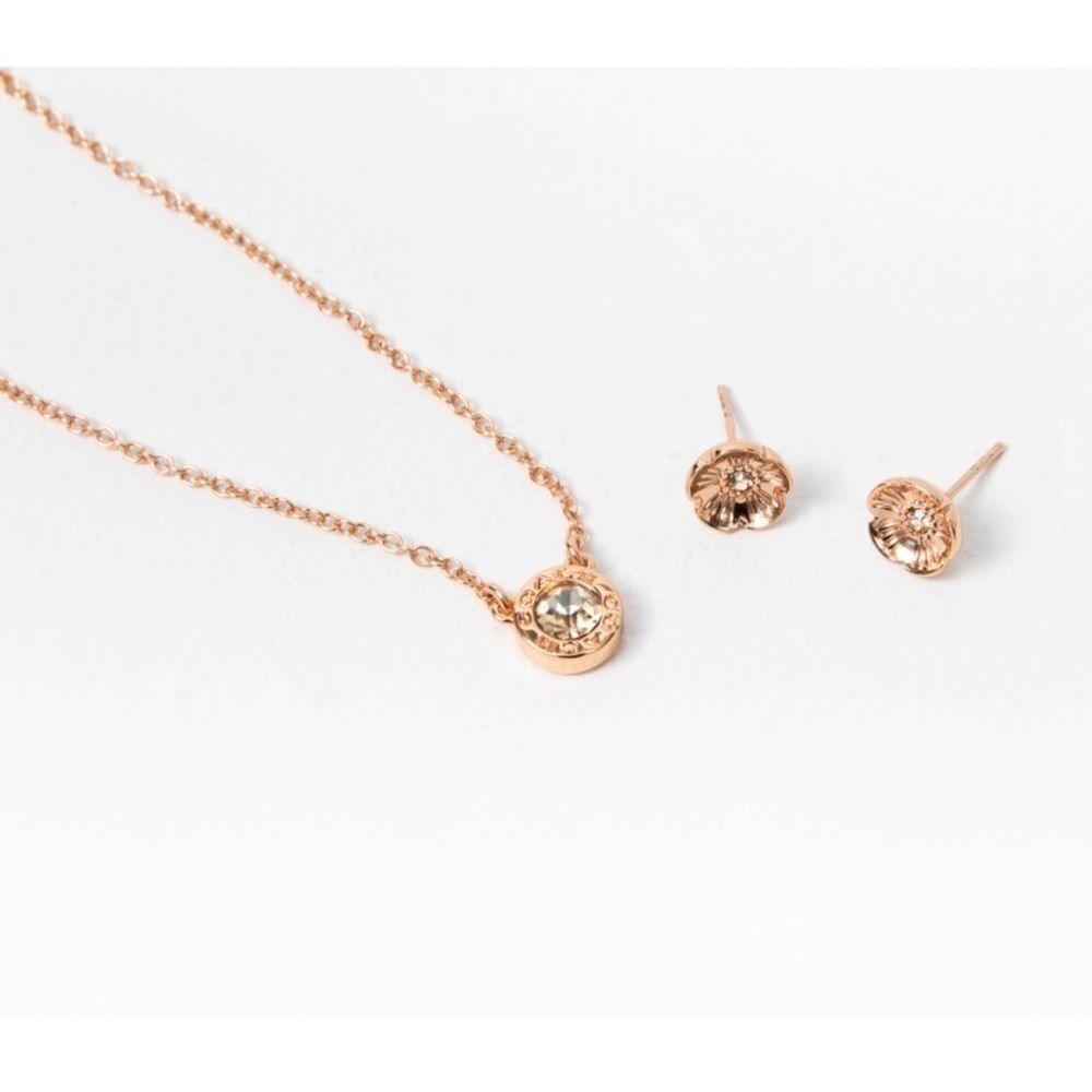 Coach Necklace and Earrings